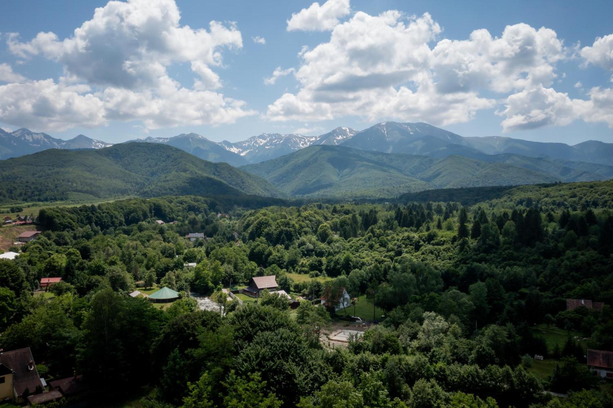 Evergreen Chalet Avrig Buitenkant foto